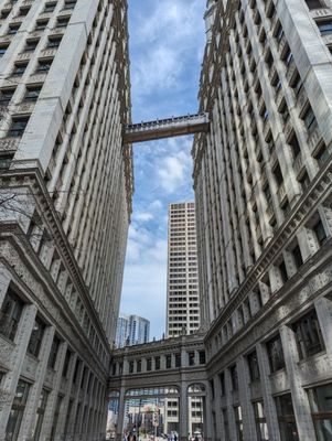 The Wrigley Building by null