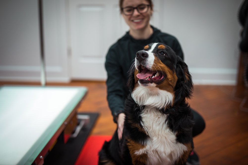 LANCASTER PET GROOMING Updated August 2024 146 College Ave