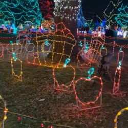 Rotary Lights