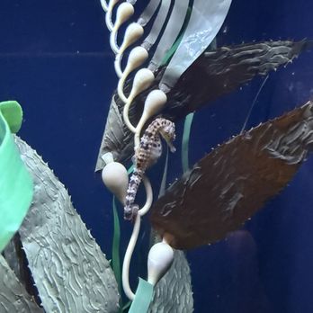 Newport Aquarium - Aquariums Near Me - Newport, Kentucky