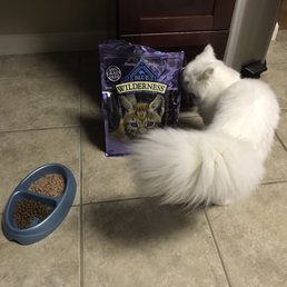 My cat Mila was sniffing around ..this doesn't look like fancy feast ! Is this organic !! lol