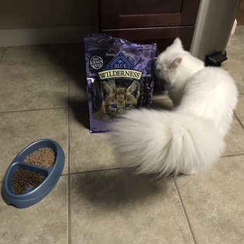 Your Best Friend Pet Supply - My cat Mila was sniffing around ..this doesn't look like fancy feast ! Is this organic !! lol - Pet Stores Near Me - Chicago, Illinois