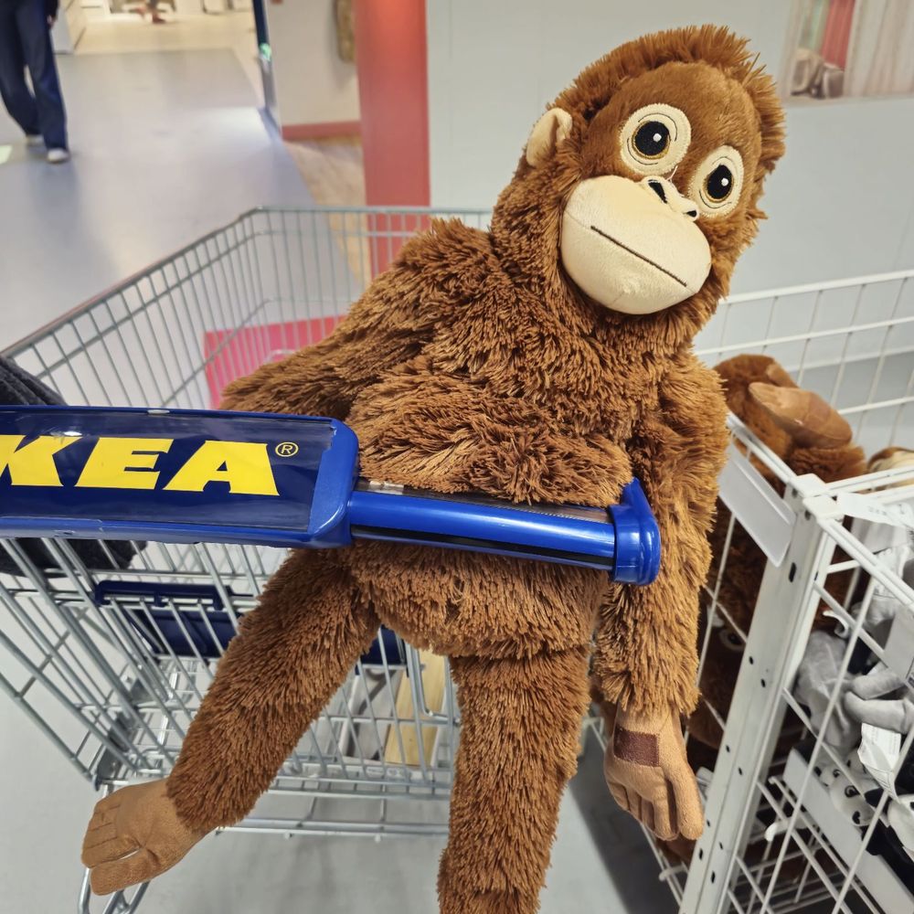 IKEA - Scandinavian Near Me - Portland, Oregon IKEA - Scandinavian Near Me - Portland, Oregon