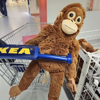 IKEA - Scandinavian Near Me - Portland, Oregon IKEA - Scandinavian Near Me - Portland, Oregon