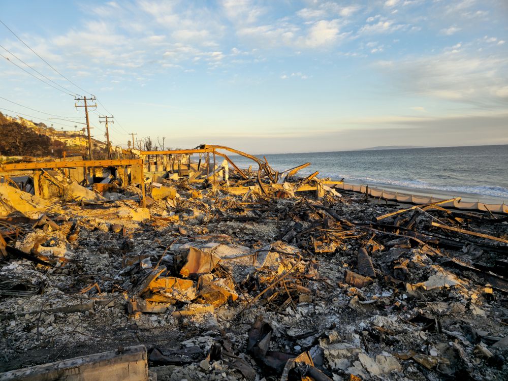 Mulliner Asset Management - mold inspector in Santa Monica, CA