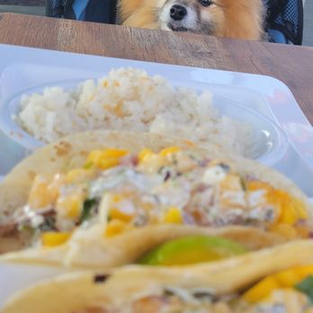 Crabby's Beachside - Mahi tacos, just amazing! - Seafood Near Me - St Augustine, Florida