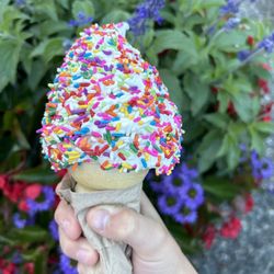 The Holy Cow Ice Cream Shop - Ice cream