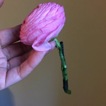 Hunts Point Flower Market - The stem spilt open so I decided to hold it up with a wooden floral stick that didn't help it - Florists Near Me - Bronx, New York Hunts Point Flower Market - The stem spilt open so I decided to hold it up with a wooden floral stick that didn't help it - Florists Near Me - Bronx, New York