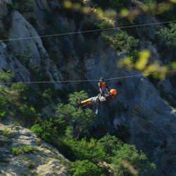 Wild Canyon - Ziplining!!