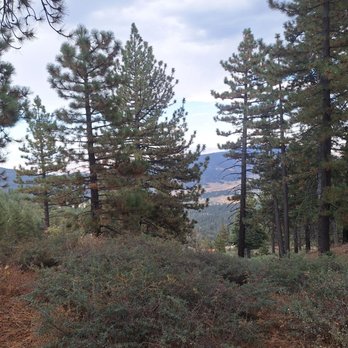 McGill Campground - View from the trail - Sledding Near Me - Frazier Park, California McGill Campground - View from the trail - Sledding Near Me - Frazier Park, California