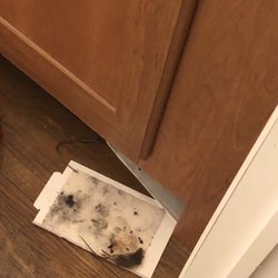 Elizabeth City Coast Guard MWR - Dead mouse