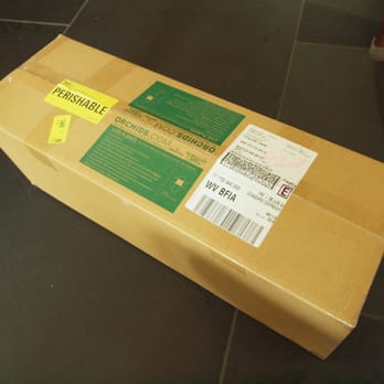 Norman's Orchid Nursery - 1/5: I placed an online order. This is the packaging. Very well done. - Nurseries & Gardening Near Me - Montclair, California Norman's Orchid Nursery - 1/5: I placed an online order. This is the packaging. Very well done. - Nurseries & Gardening Near Me - Montclair, California
