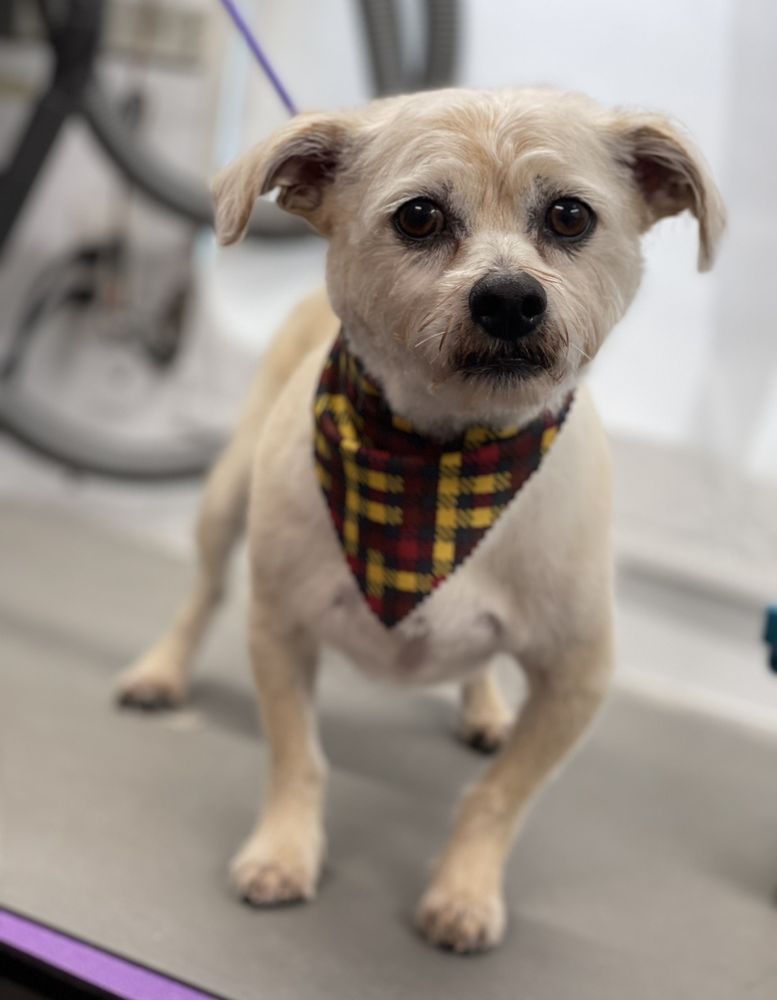 VANITY FUR EASTVALE Updated June 2024 193 Photos & 181 Reviews