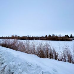 Idaho Falls Parks & Recreation - The Snake River is huge and completely frozen over! March 2023