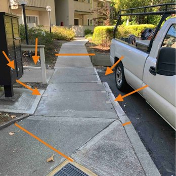 The Elevated Group - Tree Services Near Me - Vallejo, California The Elevated Group - Tree Services Near Me - Vallejo, California