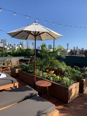 Terras by null