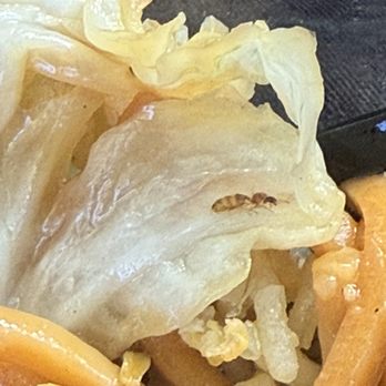 Sun's kitchen - Bug in chow mein - Chinese Near Me - Jurupa Valley, California