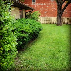 Bullpup lawn services - Mowing