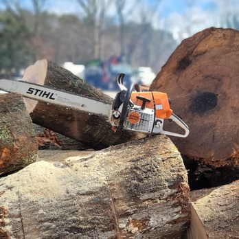 Teran Tree Experts - Tree Services Near Me - Atlanta, Georgia Teran Tree Experts - Tree Services Near Me - Atlanta, Georgia