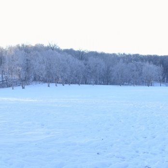 Lone Lake Park - Frosted trees - Parks Near Me - Minnetonka, Minnesota Lone Lake Park - Frosted trees - Parks Near Me - Minnetonka, Minnesota