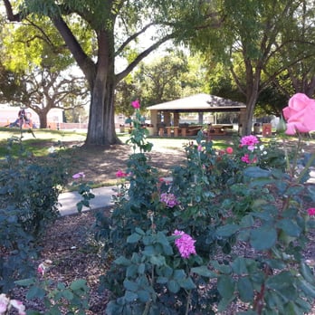 Shaffer Park - Small rose garden at one corner - Parks Near Me - Orange, California