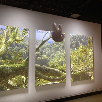 National Geographic Museum - Museums Near Me - Washington, DC, District of Columbia
