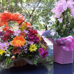 Floricultura Moreira