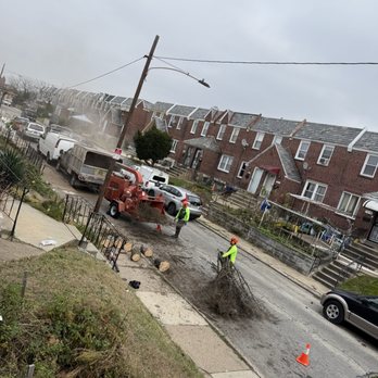 Santos Tree Services - Tree Services Near Me - Philadelphia, Pennsylvania Santos Tree Services - Tree Services Near Me - Philadelphia, Pennsylvania