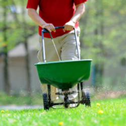 Earthworks Landscape Services Inc