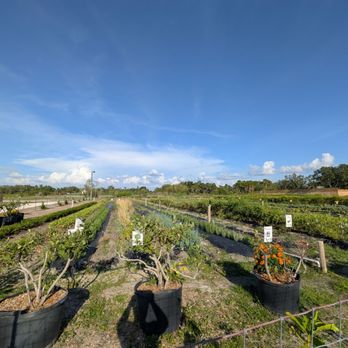 Ananda Farm - Attraction Farms Near Me - Terra Ceia, Florida