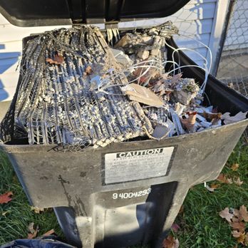 3 Bears Junk Removal - Junk Removal & Hauling Near Me