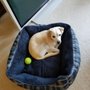 Photo of Laurie Maris' Pampered Pups Dog Training