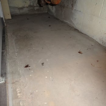 Reside on Roscoe - Dead roaches in the laundry room of Reside on Roscoe. - Apartments Near Me - Chicago, Illinois