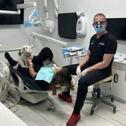 Modern American Dentistry - Woodland Hills - Dr Gabe and our therapy support fur babies.