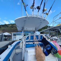 Rockhoppin' Adventures - View from back of boat