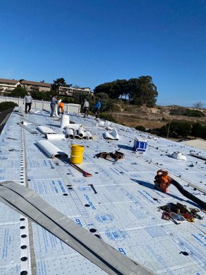 Elemental Roofing