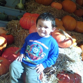 Piedmont Avenue Pumpkin Patch - Pumpkin Patches Near Me - Oakland, California Piedmont Avenue Pumpkin Patch - Pumpkin Patches Near Me - Oakland, California