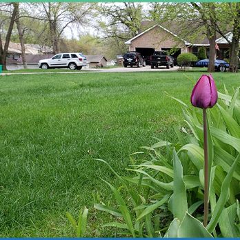Iowa Mold Removal - Iowa Mold Removal LLC - Damage Restoration Near Me Iowa Mold Removal - Iowa Mold Removal LLC - Damage Restoration Near Me
