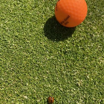 HealthSummit Physical Therapy - Lucky ladybug and lucky ball - Physical Therapy Near Me - Sunnyvale, California HealthSummit Physical Therapy - Lucky ladybug and lucky ball - Physical Therapy Near Me - Sunnyvale, California