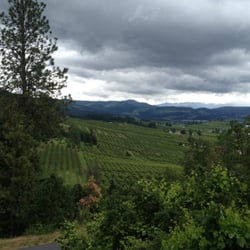 Panorama Lodge Bed & Breakfast - View from roof deck. Orchards below, Mt Hood afar