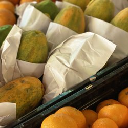 Meyer's Produce & Nursery