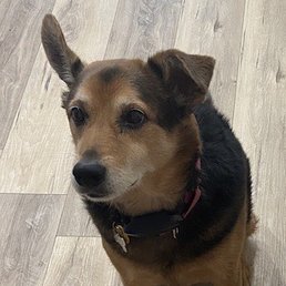Macy Mae