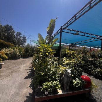 SummerWinds Nursery - Campbell - Plants - Nurseries & Gardening Near Me - Campbell, California SummerWinds Nursery - Campbell - Plants - Nurseries & Gardening Near Me - Campbell, California