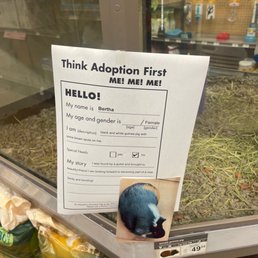 Adoption