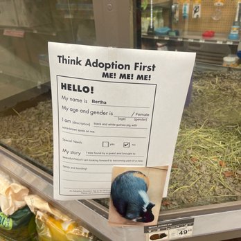 Petco - Adoption - Pet Stores Near Me - Chula Vista, California