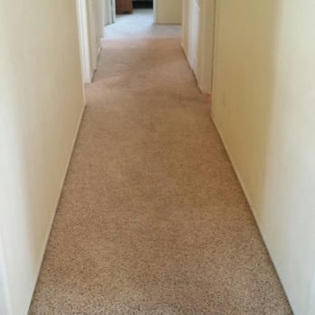 Pinks Carpet and Tile Cleaning - Hallway after cleaning - looking good! - Carpet Cleaning Near Me