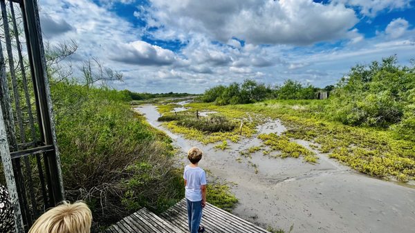 South Texas Botanical Gardens & Nature Center by null