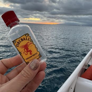 Prince Kuhio Tours - Boat Tours Near Me - Honolulu, Hawaii Prince Kuhio Tours - Boat Tours Near Me - Honolulu, Hawaii