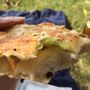 Picnic Berlin
