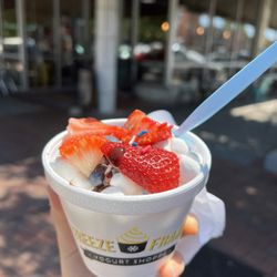 Freeze Frame Yogurt